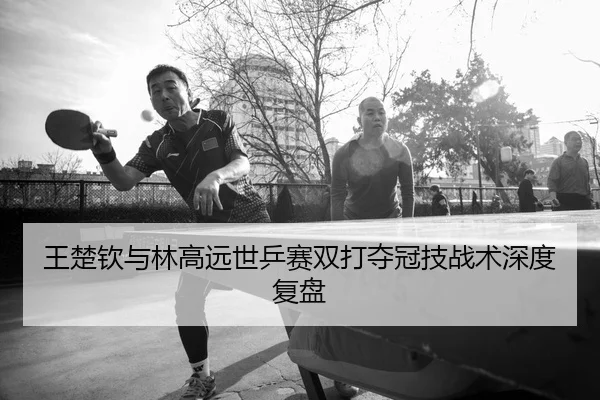 王楚钦与林高远世乒赛双打夺冠技战术深度复盘（feifansports）